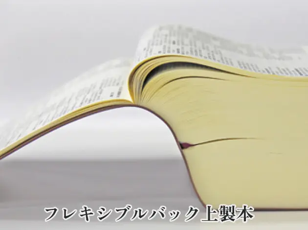 読み易い辞書への想い